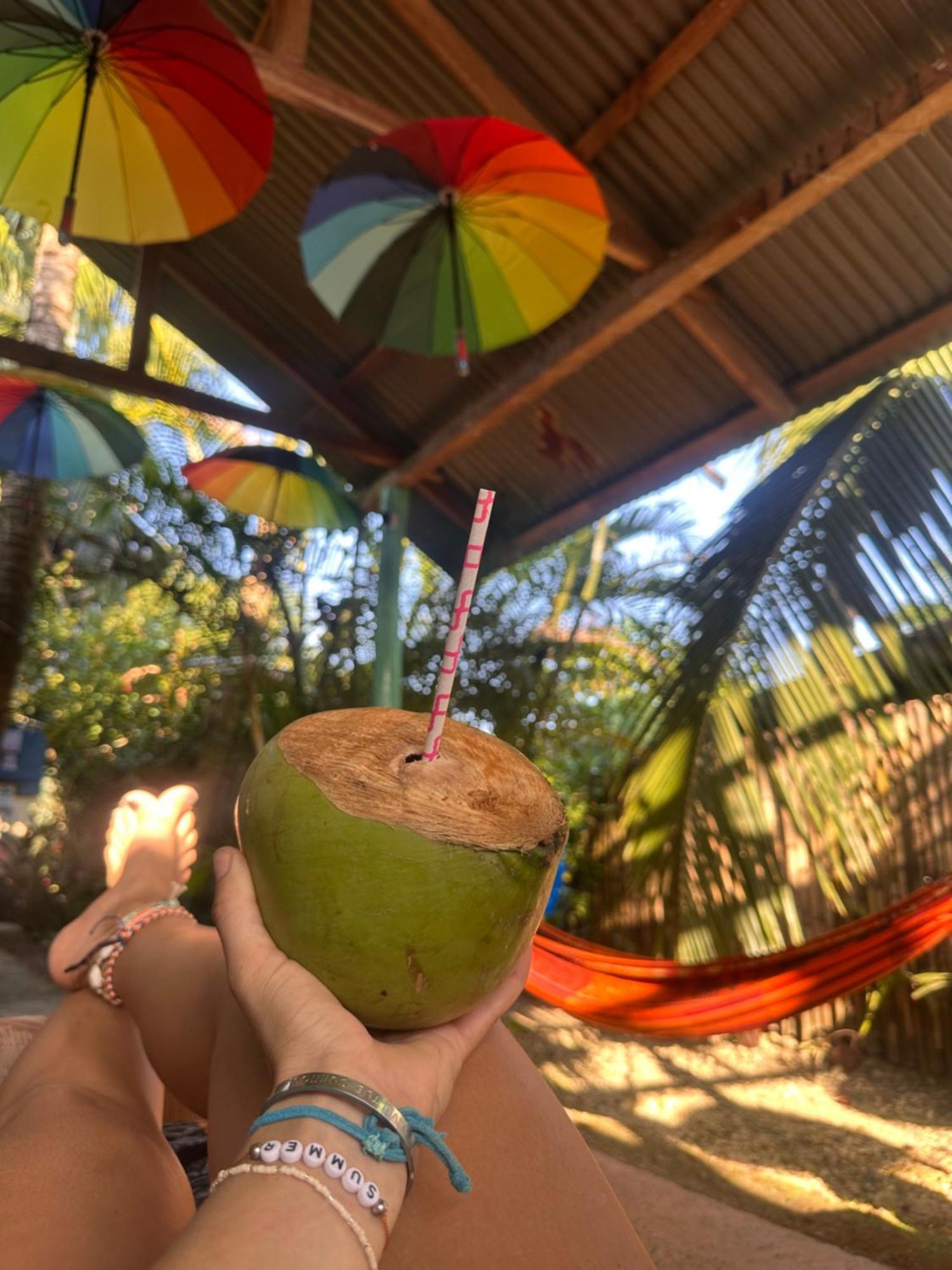Hotel La Y Surf Camp Bocas del Toro Exteriér fotografie